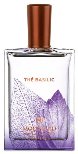 Thé Basilic