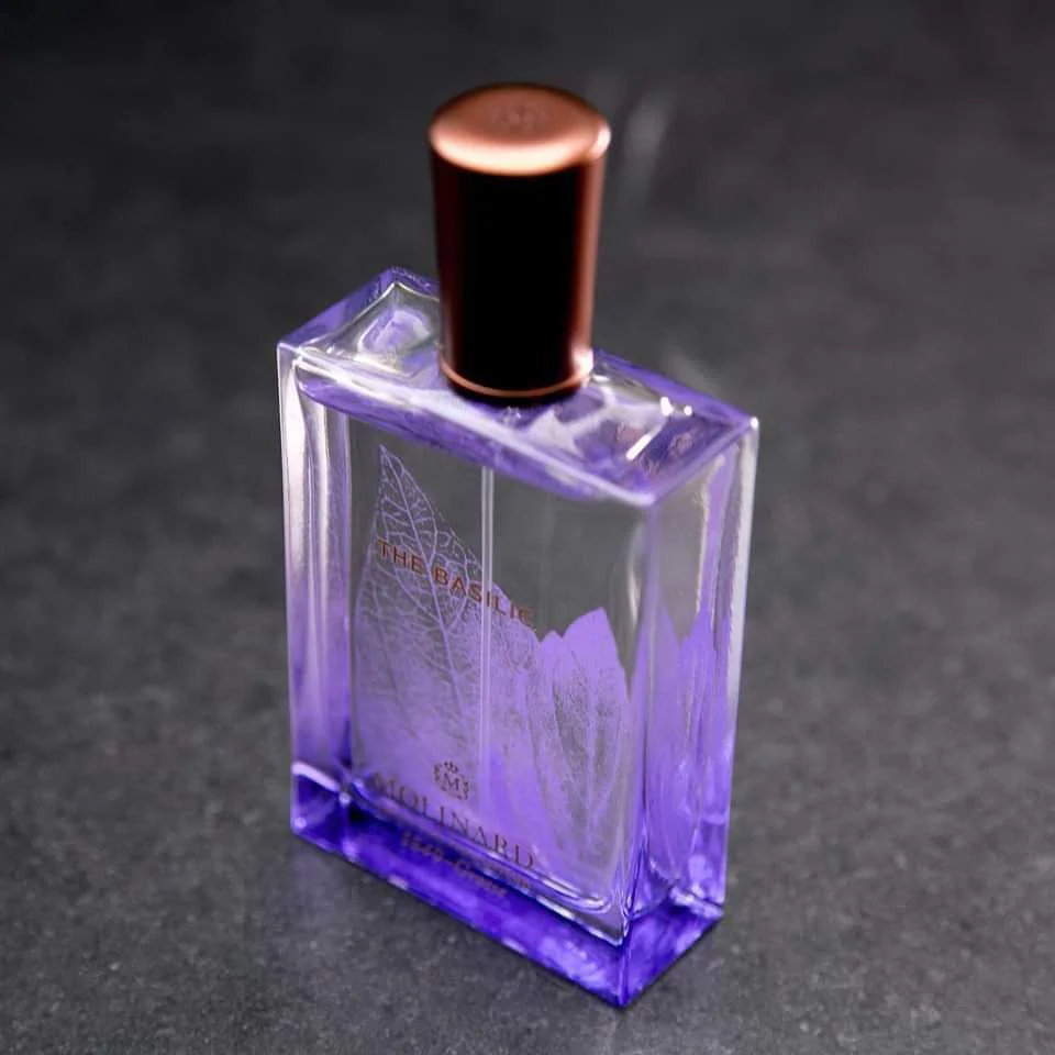 Thé Basilic - Image 2
