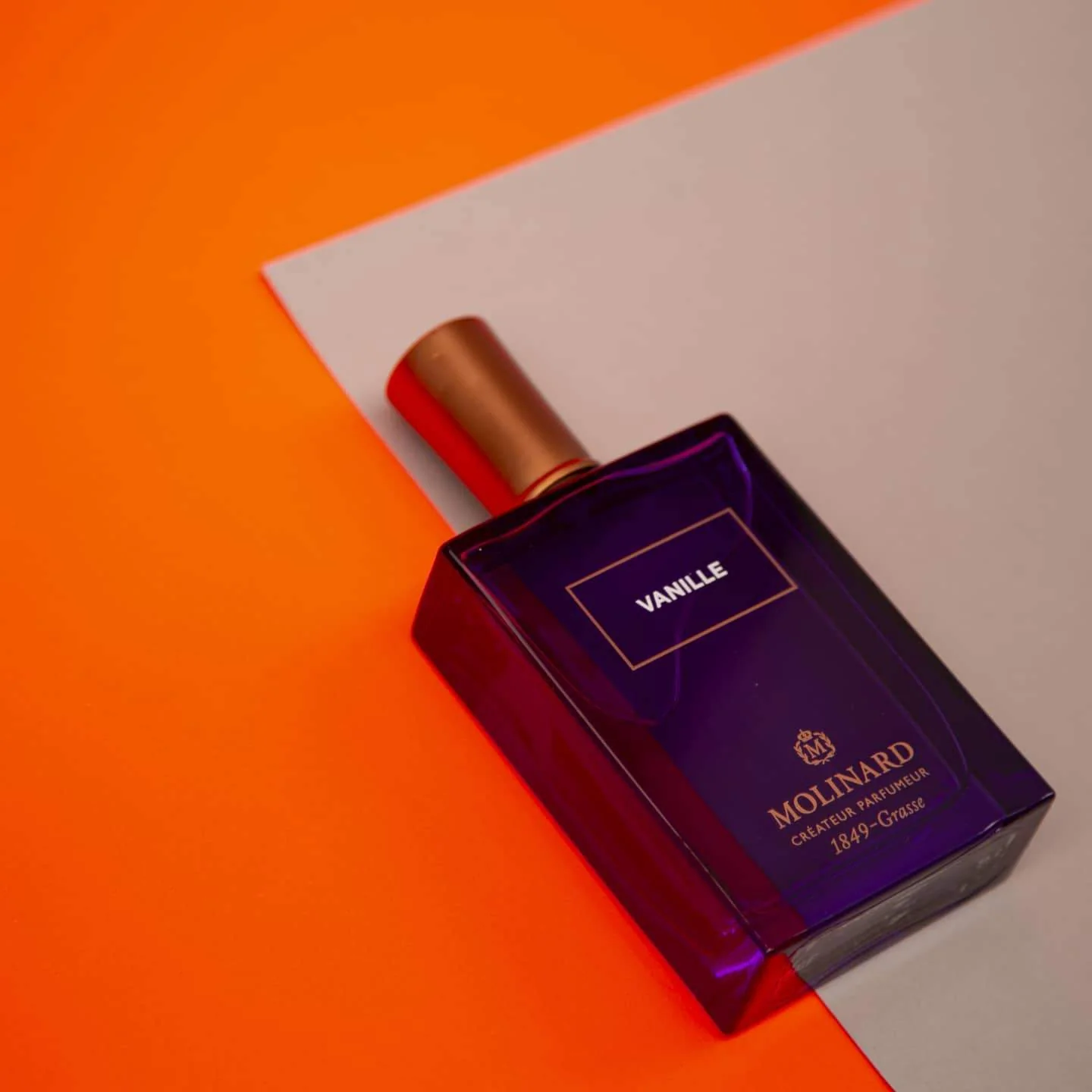 Vanille - Image 2