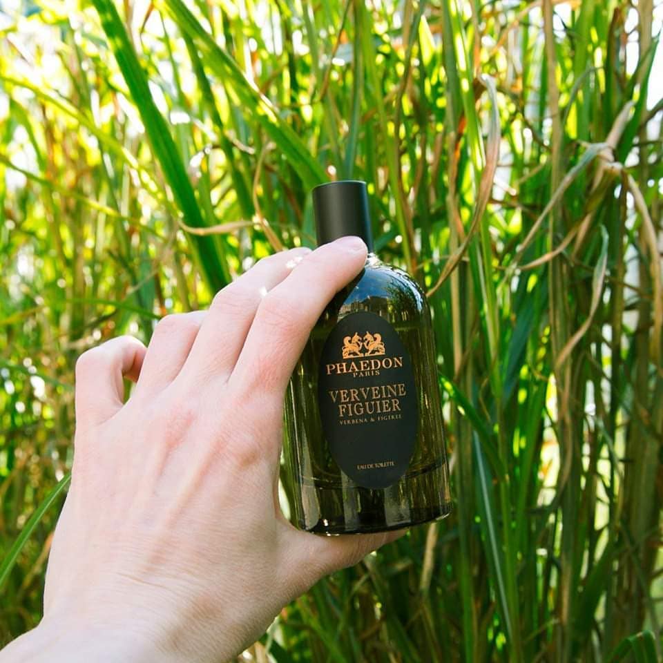 Verveine Figuier (Discontinued) - Image 2
