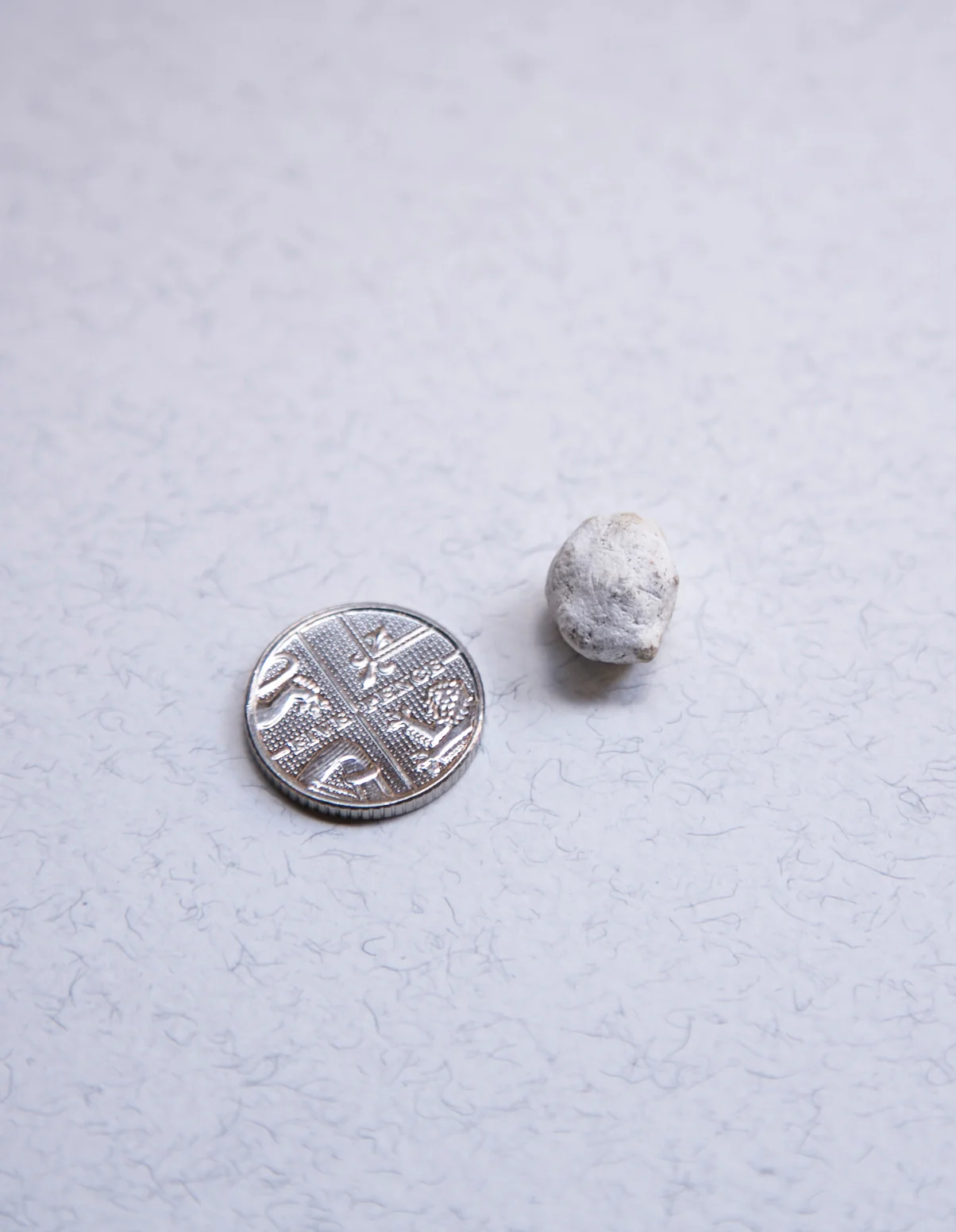White Ambergris 0.4 g SOLD