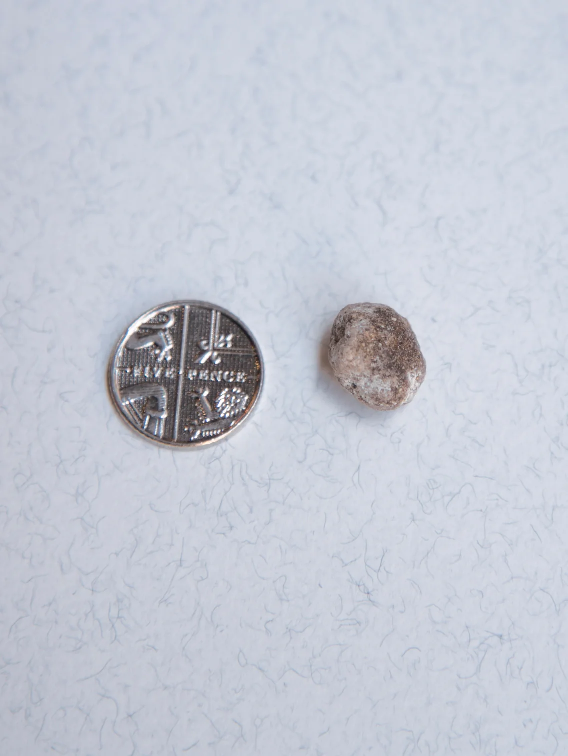 White Ambergris 0.51 g SOLD