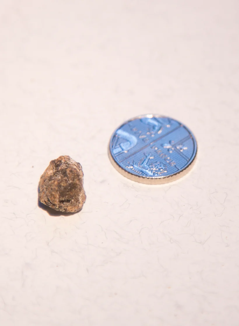 White Ambergris 0.32 g SOLD