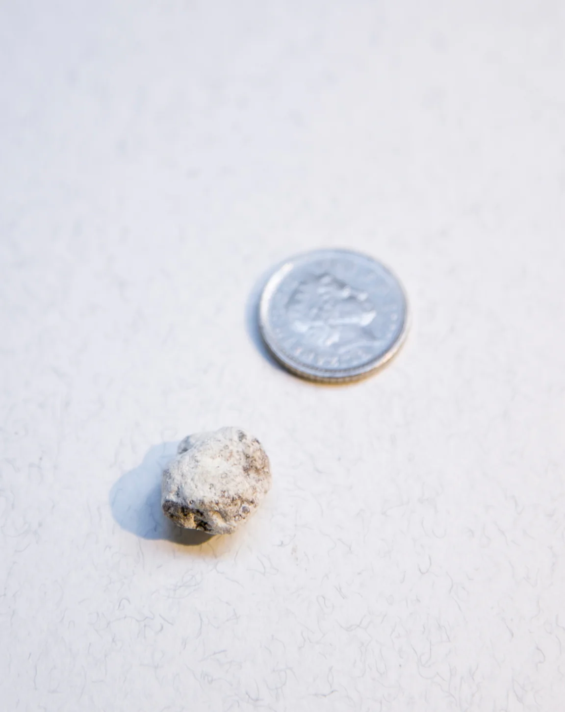 White Ambergris 0.41 g SOLD