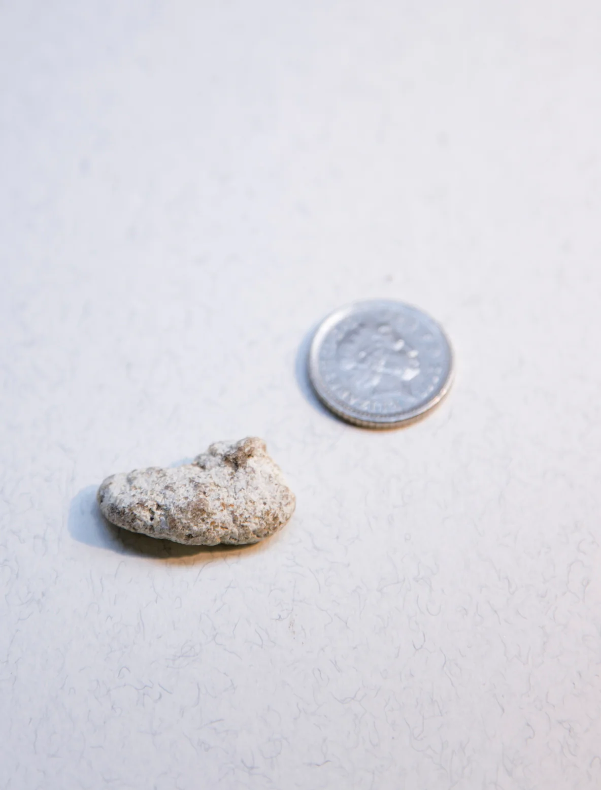 White Ambergris 0.77 g SOLD