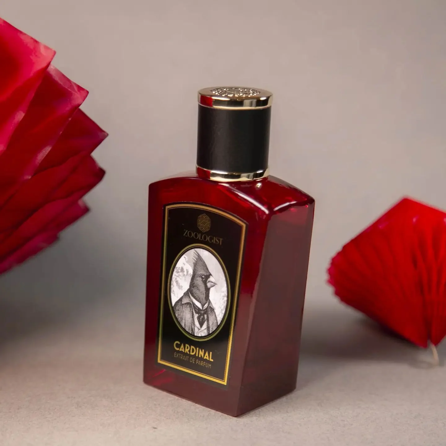 Cardinal (Limited Edition) (Discontinued) - Image 2